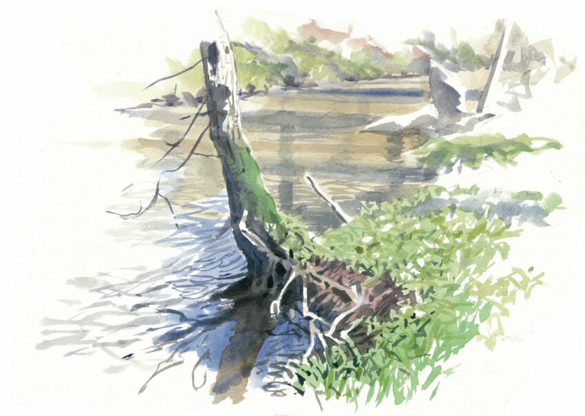 Rivière dessin