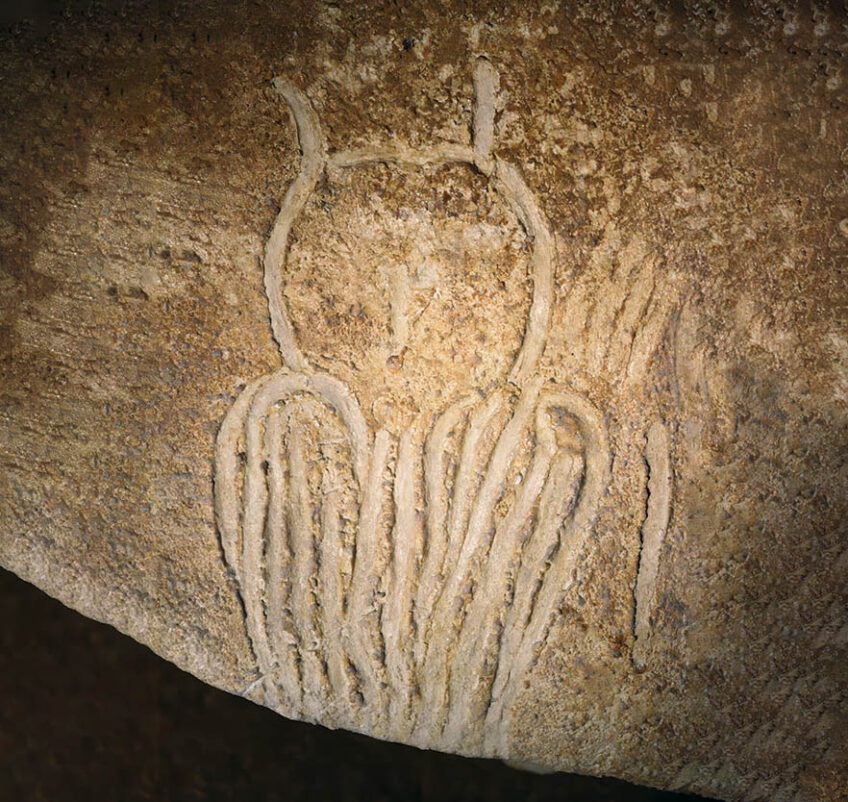 Hibou grand-duc