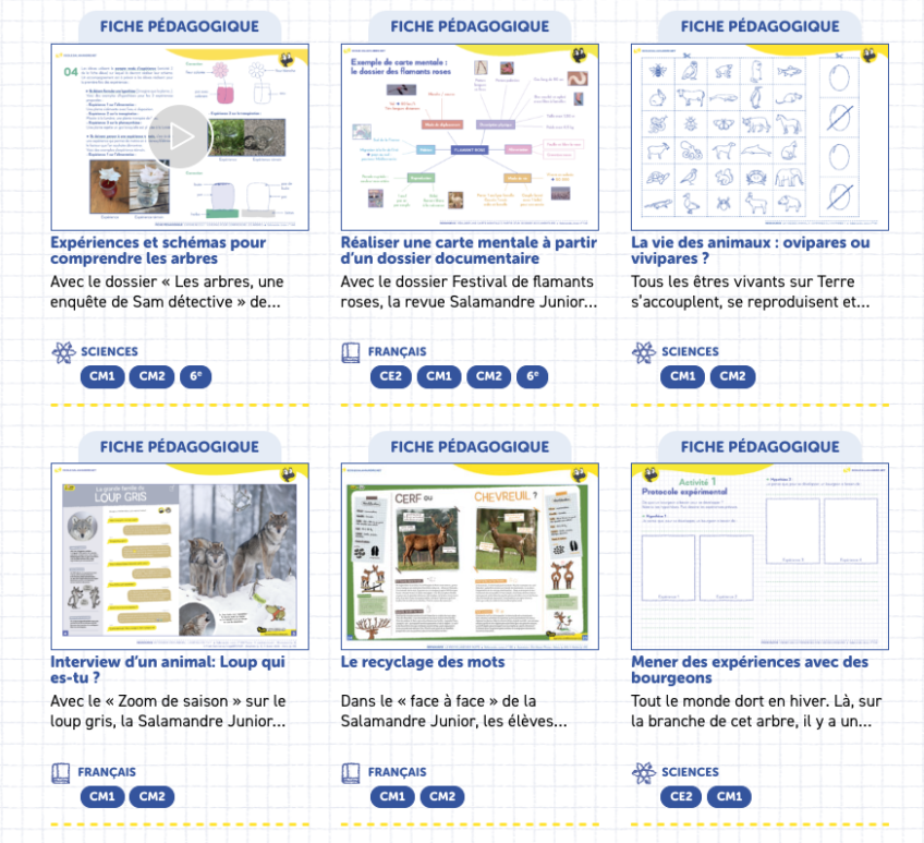 enseignants nature primaire