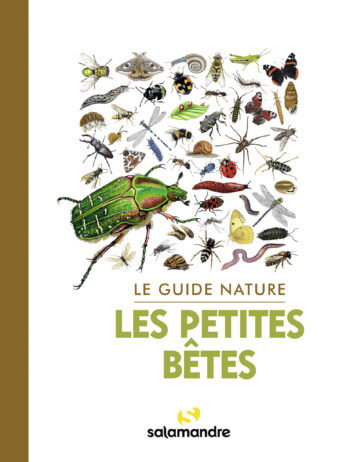 Guide nature Les petite bêtes, guide ed.