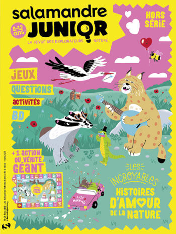 Couverture de La Salamandre Junior n°HS08