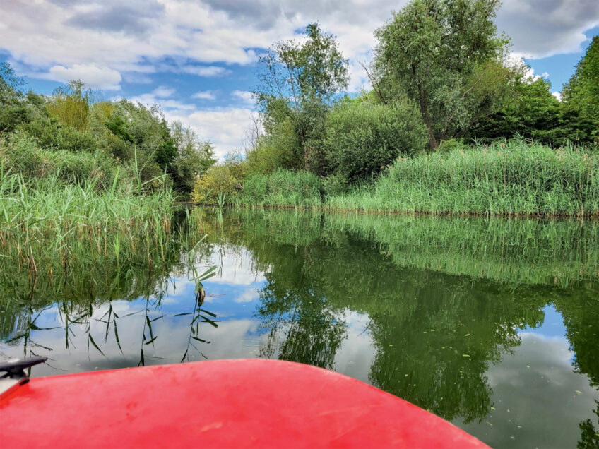 Le lac et l’île de loisirs constituent une zone préservée pour la faune et la flore locales.