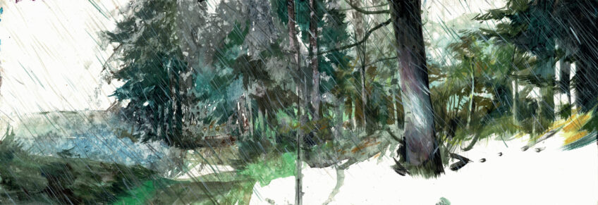 Christophe Pons-Capitaine, un peintre en forêt - Revue Salamandre