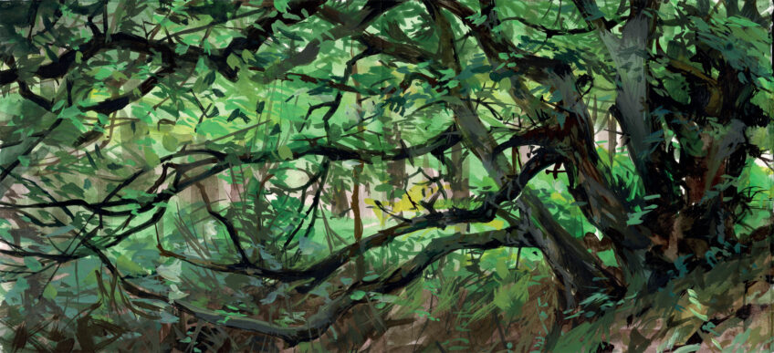 Christophe Pons-Capitaine, un peintre en forêt - Revue Salamandre