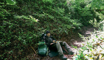Christophe Pons-Capitaine, un peintre en forêt - Revue Salamandre