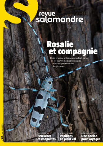 Couverture de La Salamandre n°276