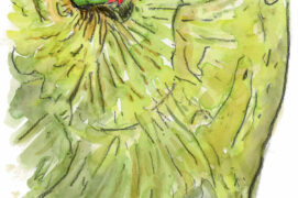 © Tsunéhiko Kuwabara