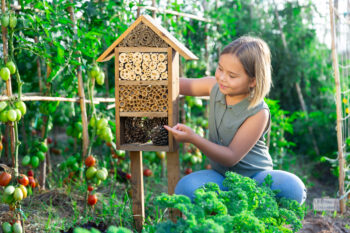 Portrait of happy girl next to hotel for insects in of wooden birdhouse in the garden Portrait of happy girl next to hotel for insects in of wooden birdhouse in the garden