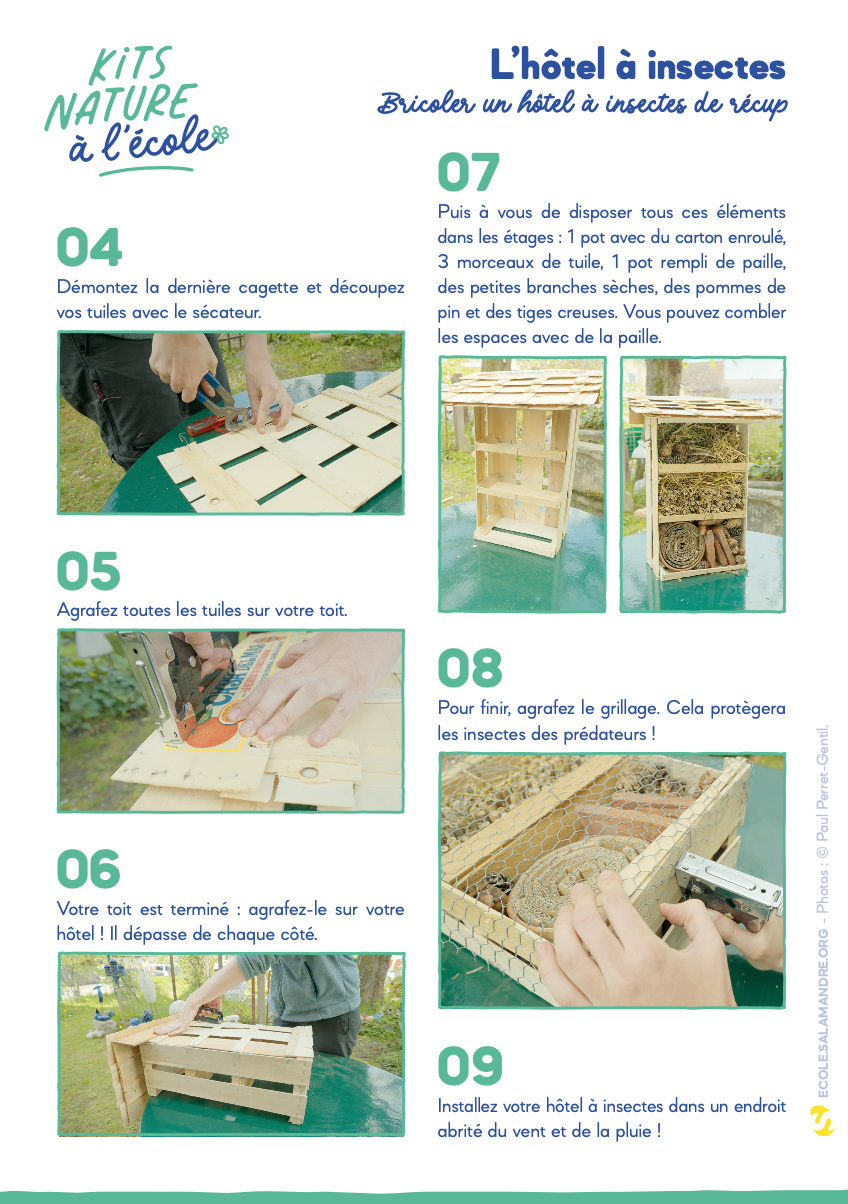 hôtel à insectes