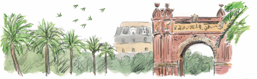 Que penser de la présence de la perruche à collier en Europe ?