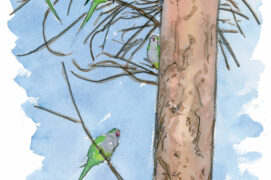 © Tsunéhiko Kuwabara