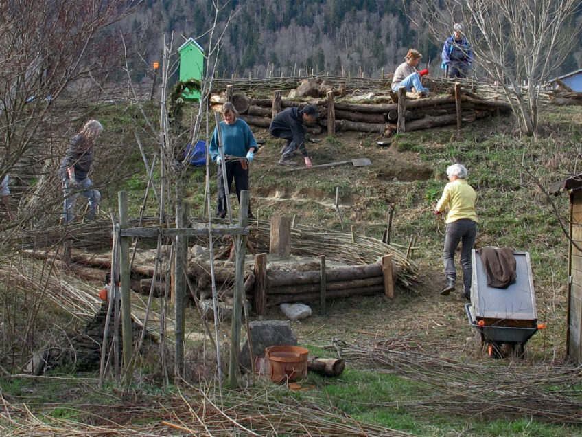 La Salamandre finance des aménagements pour les abeilles sauvages