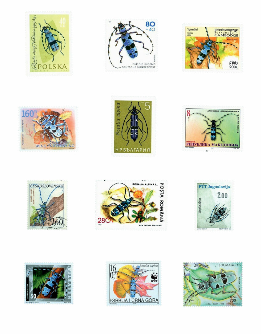 Timbres Rosalie des Alpes