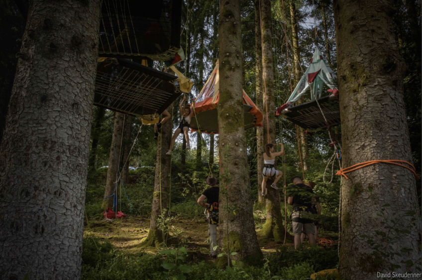 David Skeudenner Nuits des forêts
