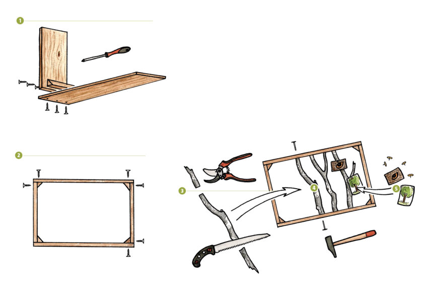 Fabriquer un cadre avec des rameaux de hêtre