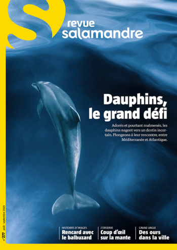 Couverture de La Salamandre n°277