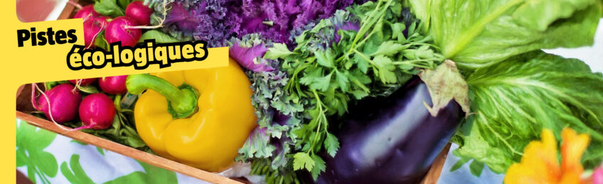 Comment manger moins de viande ?