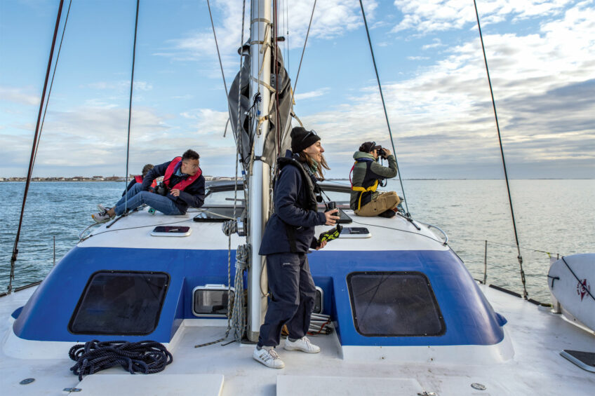 Claire repère le premier dauphin de la journée, à la grande joie de Laurine et Hugo.  Les dauphins surveillés de près par les scientifiques en Méditerranée