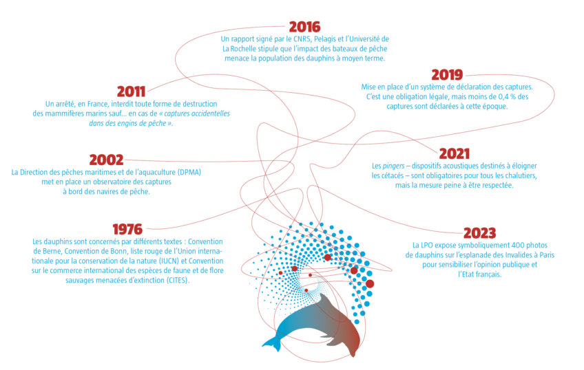 Enquête sur les échouages de dauphins sur les côtes françaises