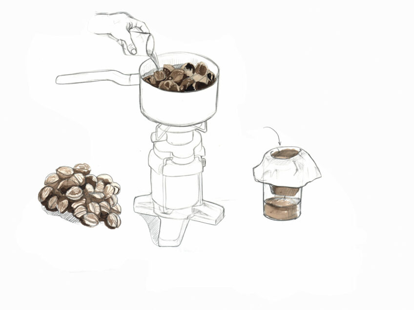 Les douze faces de la noix dessinées par Maéva Arnold