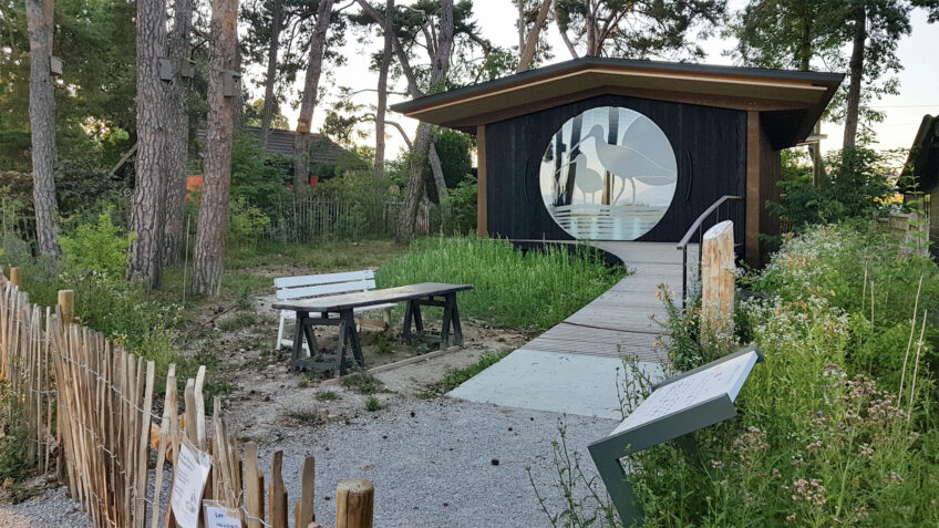 centre ornithologique lac léman