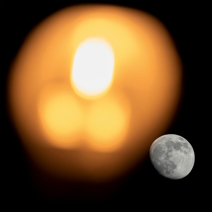 Neil Villard a photographié des ours en pleine ville en Roumanie