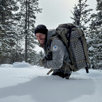 Neil Villard a photographié des ours en pleine ville en Roumanie