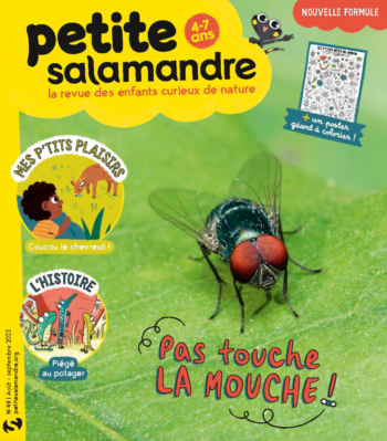 Couverture de La Petite Salamandre n°49