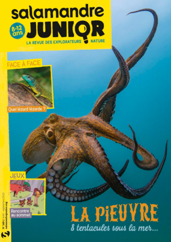 Couverture de La Salamandre Junior n°149