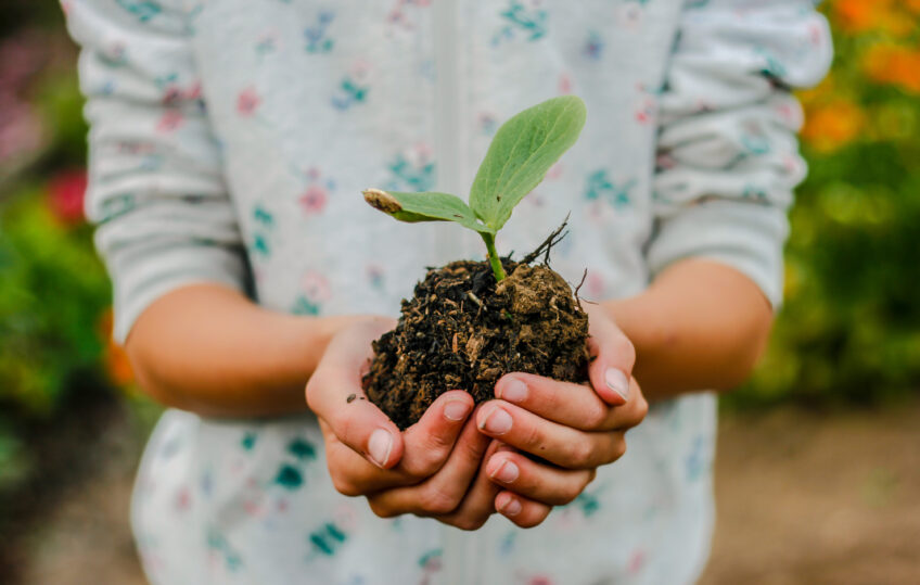 Adobe Poly Picture Réchauffement climatique enfants élèves
