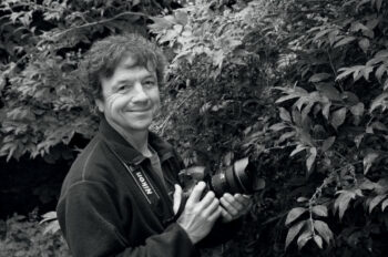 Des gélinottes des bois suivies à leurs chants - Revue Salamandre