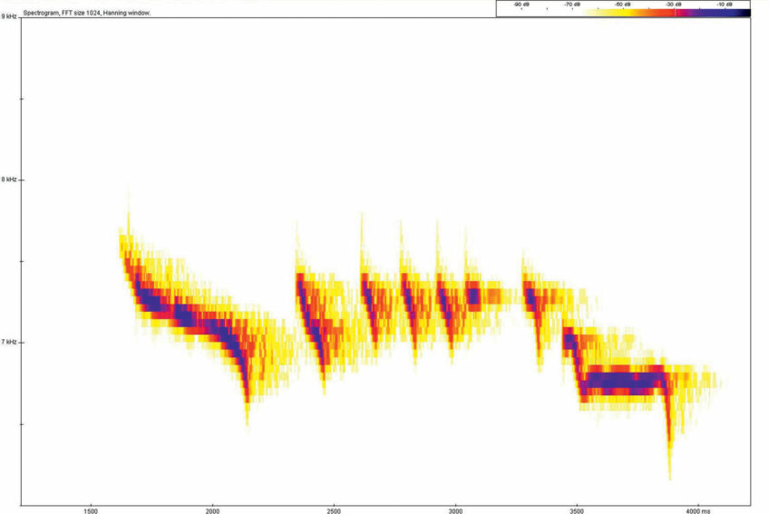 Des gélinottes des bois suivies à leurs chants - Revue Salamandre