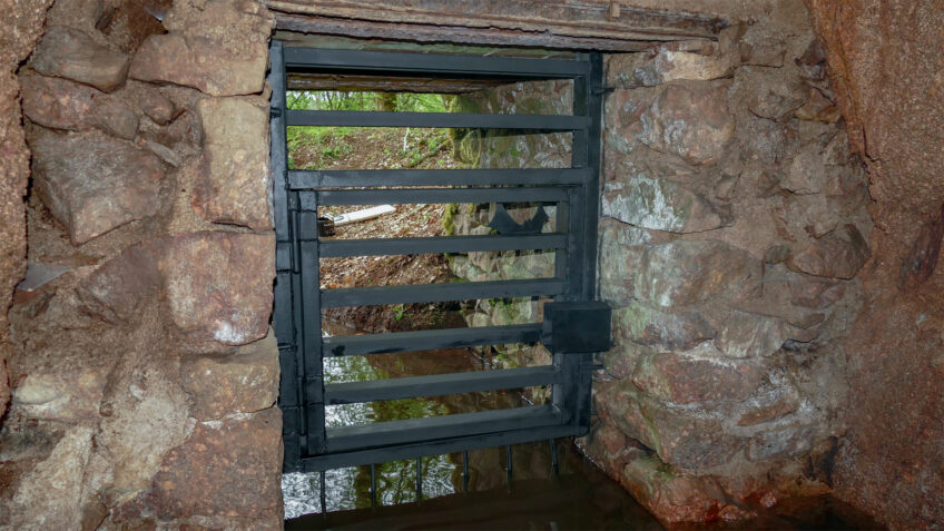 Une colonie de chauve-souris protégées tout l'hiver