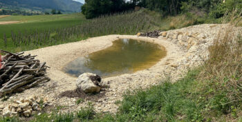Le nouvel étang sera entouré d’une vigne haute, d’une prairie pâturée par des moutons, de haies et de structures en bois et en pierre favorables au monde vivant.