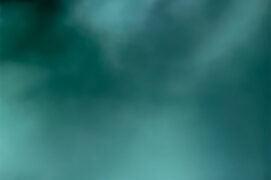 L’ombre de Batman / © Sophie Luciani