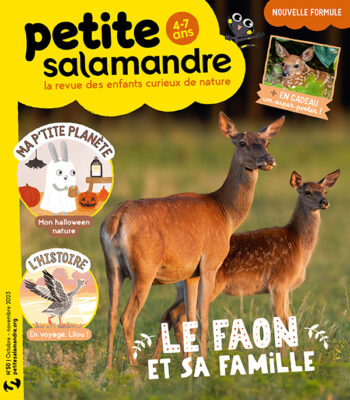 Couverture de La Petite Salamandre n°50