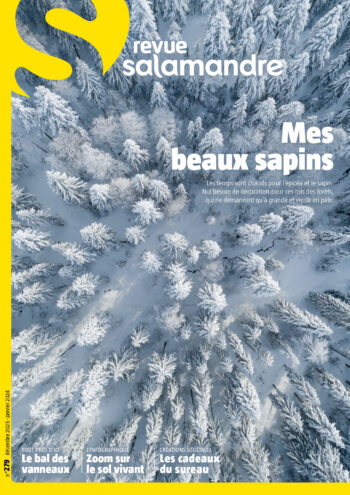 Couverture de La Salamandre n°279