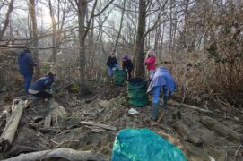 Opération de nettoyage de la Réserve des Grangettes / © ASL