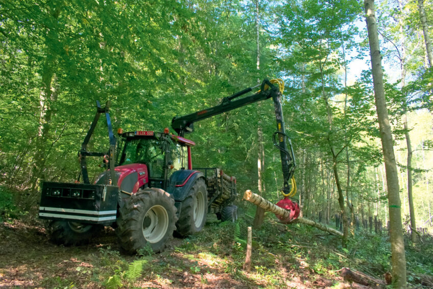 Un cheval de trait peut tracter 20 à 30 % de son poids. En Wallonie, environ 300 000 m3 de bois sont débardés à cheval chaque année. C’est très peu en comparaison du débardage mécanisé. débardage à cheval