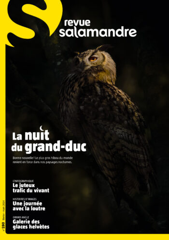 Couverture de La Salamandre n°280