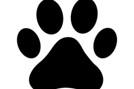 Empreinte de chat domestique Empreinte de chat domestique / © martialred / Adobe