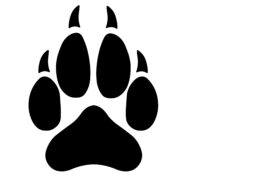 Empreinte de loup Empreinte de loup