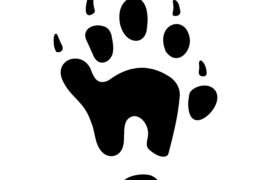 Empreinte d'une loutre Empreinte d'une loutre