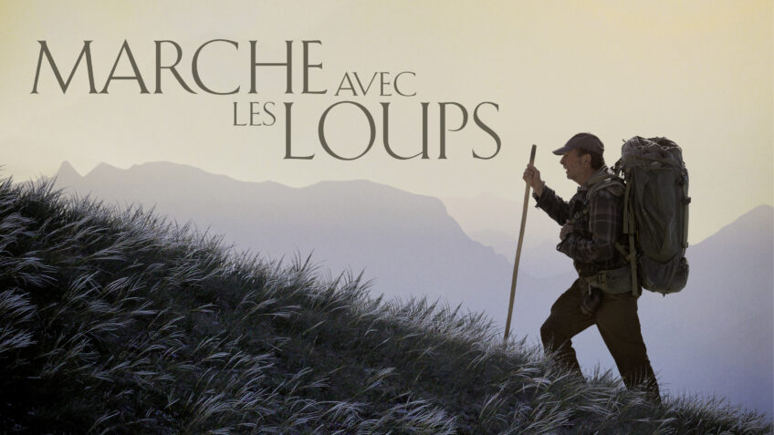 Marche avec les loups