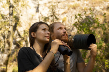 Amélie Sabanovic / Guillaume FRANCOIS - hiboux grands-ducs