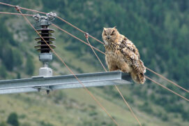 © David Jenny und Werner Fischer