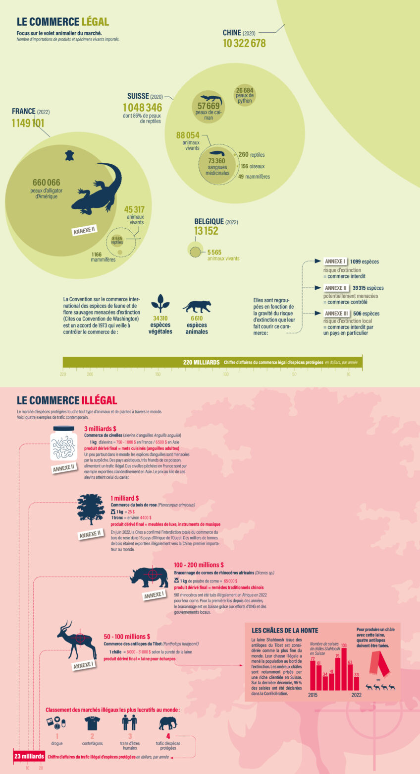 Infographie : le commerce du vivant