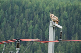 © David Jenny und Werner Fischer