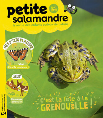 Couverture de La Petite Salamandre n°47