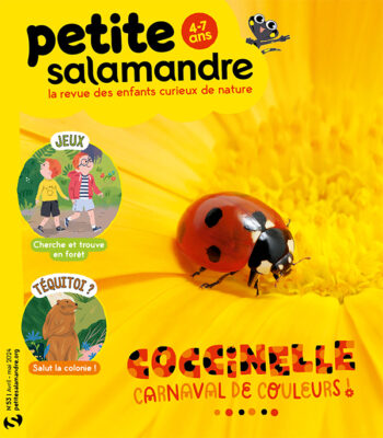 Couverture de La Petite Salamandre n°53